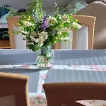 Jalps 1 In Beautiful Bohinjska Bistrica