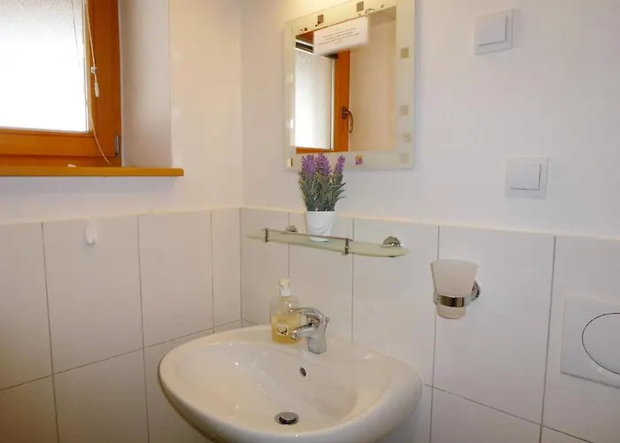 Apartment Jalps 1 In Beautiful Bohinjska Bistrica *